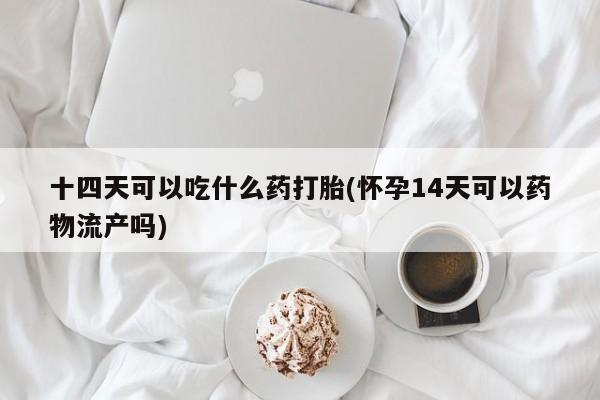 流产药购买联系十四天可以吃什么药打胎(怀孕14天可以药物流产吗)